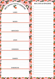 Pierre Belvédère - Planning Notepad - Oranges