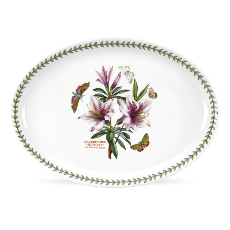 Portmeirion - Botanic Garden - Oval Serving Dish 15 inch Home & Kitchen
