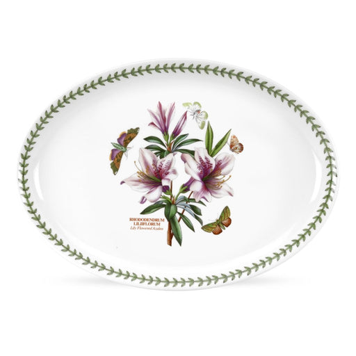 Portmeirion - Botanic Garden - Oval Serving Dish 15 inch Home & Kitchen