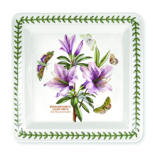 Portmeirion - Botanic Garden - Square Dinner Plate | 10.5 in Home & Kitchen