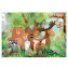 PZ 2x24: WILD ANIMALS