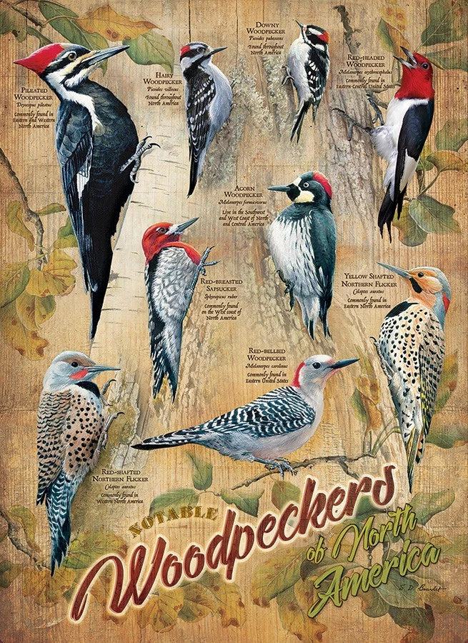 Cobble Hill - 1000 Piece Puzzle - Notable Woodpeckers