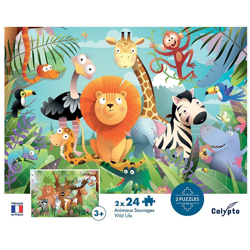 Sentosphere - PZ 2x24: WILD ANIMALS Games & Toys