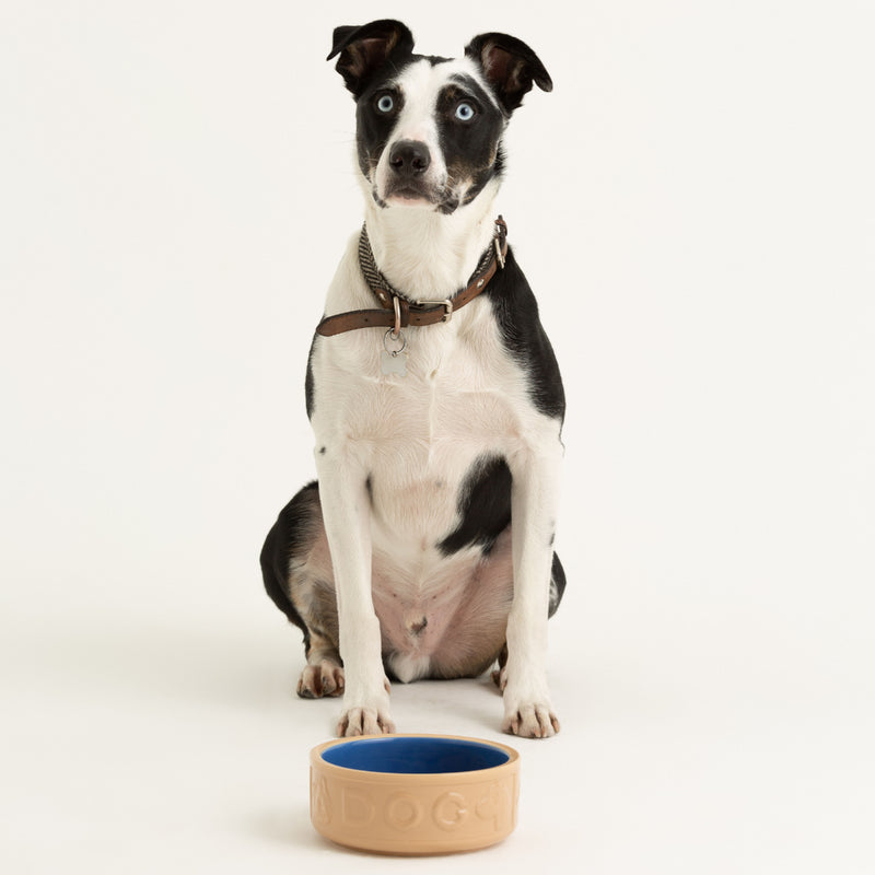 Mason Cash - PETWARE - Lettered Dog Bowl, Cane & Blue